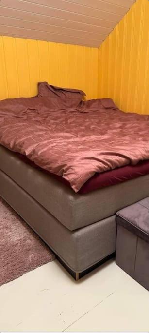 Bjornemyra 29h, * Alta